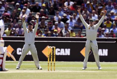 Steve Smith, Steve Smith Australia, Australia Steve Smith, Smith Australia, Australia Smith, Aus vs WI, WI vs Aus, Cricket News, Cricket