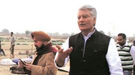 Amarinder, Capt Amarinder, Punjab elections, Punjab AAP, AAP Punjab, Sunil Jakhar, Punjab news, India news