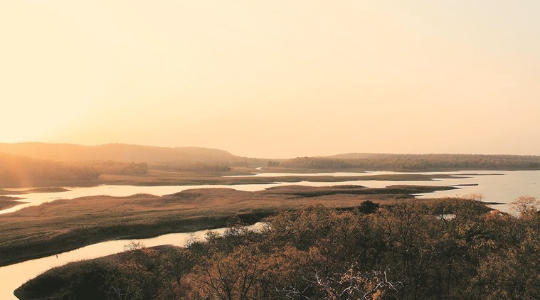 View from the watch tower of the dam in Ratapani. (Source: Raza Kazmi)