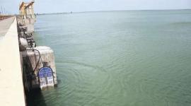 Bombay high court, Ujani water, water release, ujani water release, pune news