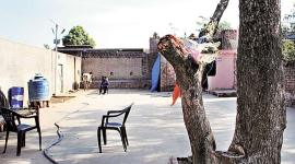 juvenile home violence