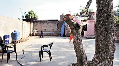 juvenile home violence