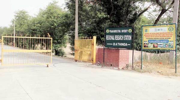 pau, pau students protest