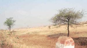 RSS, VHP, Maharashtra govt, Rashtriya Swayamsevak Sangh, Vishwa Hindu Parishad, Yavatmal district in Vidarbha, mumbai news
