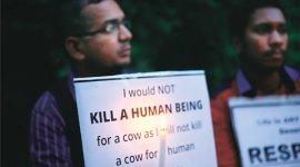 dadri lynching, dadri lynching report, dadri lynching investigation, Akhlaq, lucknow news