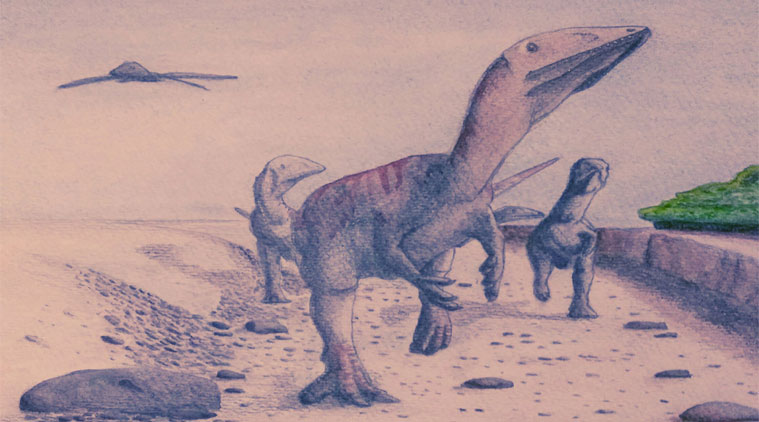 2 legged dinosaur with fin on head