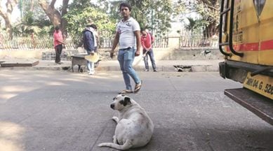 men cleaning neighbourhood, mumbai men cleaning society, thane men cleaning neighbourhood, neighbourhood cleaning in mumbai, mumbai news