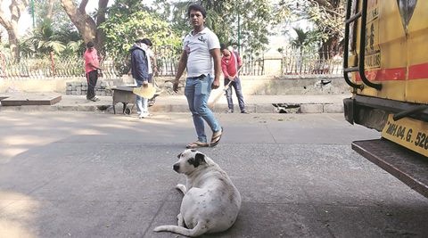 Why these men are cleaning their neighbourhood under police watch ...