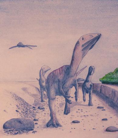 Dinossauros, pegada de dinossauro, dinossauros portugueses, história dos dinossauros