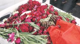 dance, bharatnatyam, mrinalini sarabhai, dancer mrinalini sarabhai, mrinalini sarabhai passed away, indian express talk