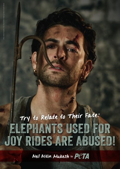 Neil Nitin Mukesh, Neil Nitin Mukesh PRDP, Neil Nitin Mukesh PETA, elephant rides, People for the Ethical Treatment of Animals, PETA Campaign, Entertainment news