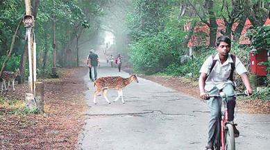 SGNP, eco sensitive zone, mumbai eco sensitive zone