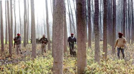 pathankot attack, pathankot terror attack, pathankot probe, pathankot news, india news, punjab terror attack, punjab news,