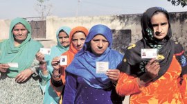 Haryana panchayat polls, panchayat polls, voting, panchayat polls voting, chandigarh news