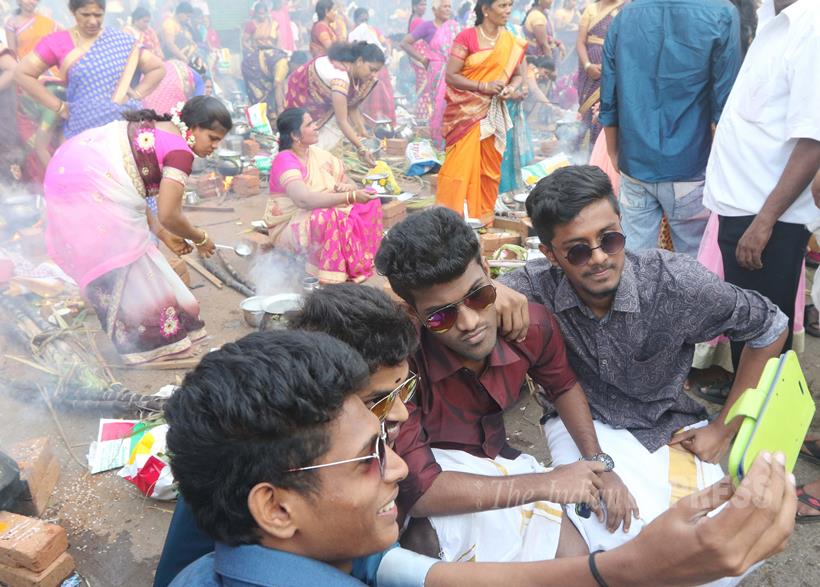 Pongal, Pongal Festival, tamil Nadu, Makar Sankranti, Telugu Community, Pongal Mumbai, Pongal Celebrations, Mattu Pongal, Kaanum Pongal, Pongal Rituals, Pongal pics, Pongal Photos, Sankranti