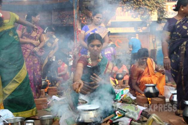 Pongal, Pongal Festival, tamil Nadu, Makar Sankranti, Telugu Community, Pongal Mumbai, Pongal Celebrations, Mattu Pongal, Kaanum Pongal, Pongal Rituals, Pongal pics, Pongal Photos, Sankranti