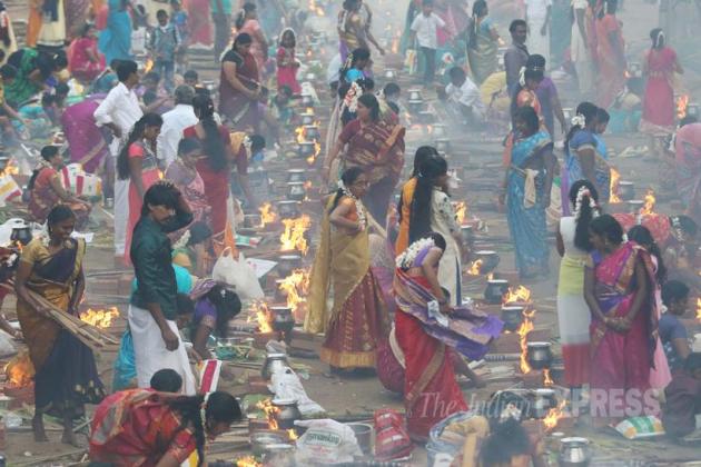 Pongal, Pongal Festival, tamil Nadu, Makar Sankranti, Telugu Community, Pongal Mumbai, Pongal Celebrations, Mattu Pongal, Kaanum Pongal, Pongal Rituals, Pongal pics, Pongal Photos, Sankranti