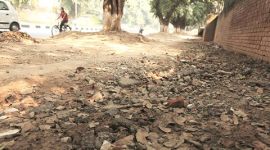 Rickshaw, rickshaws in chandigarh, chandigarh rickshaw, registration of rickshaws, rickshaw license