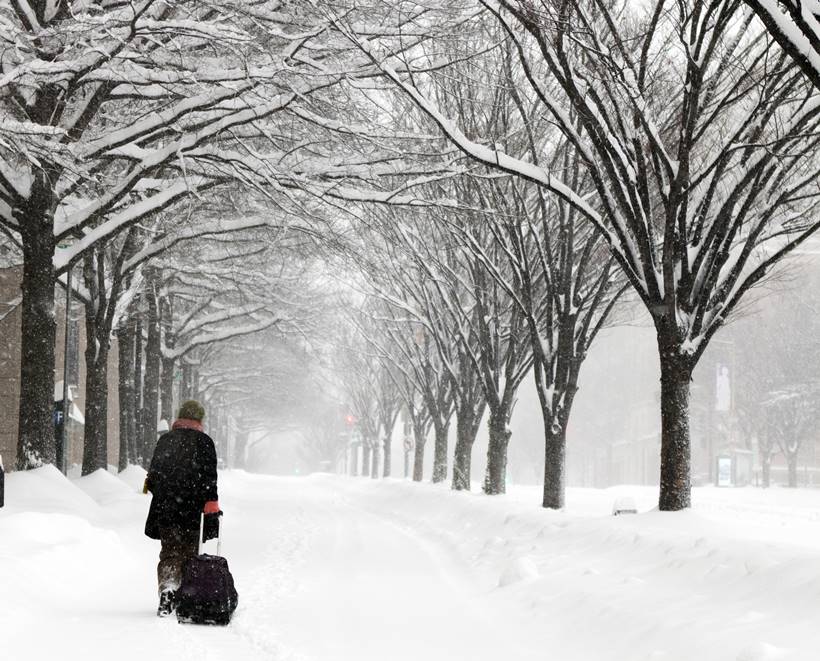 US snow storm, US blizzard, US snow, US east coast snow, US weather news, US east coast weather, US SNow news