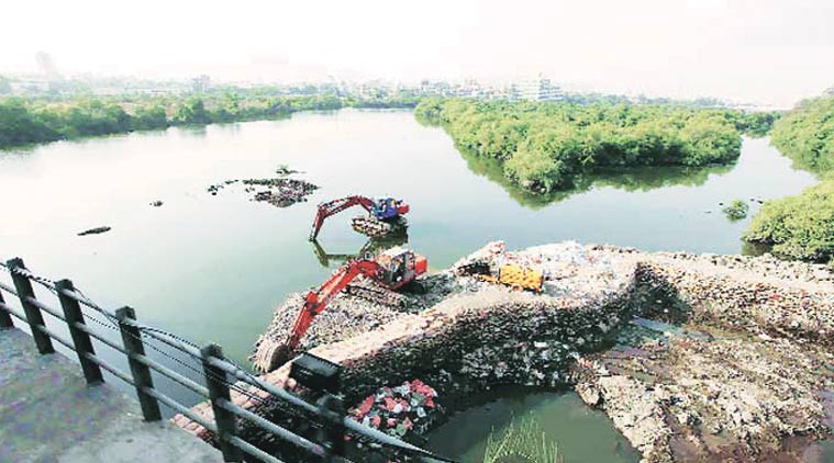 Bombay HC, wetland, mumbai wetland, construction, mumbai construction, mumbai news