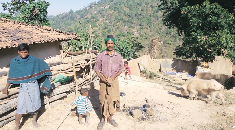 MGNREGA, Chhattisgarh tribe, Chhattisgarh tribal group,  Pahari Korba tribe, tribe story, tribe plight,