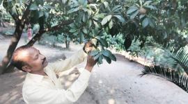 mumbai news, india news, maharashtra news, mumbai post card, mumbai bmc, latest news