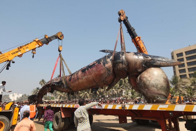 whale, juhu beach, mumbai whale, juhu beach whale, juhu beach dead whale, mumbai juhu beach whale, mumbai whale beached, mumbai news, india news, latest news, mumbai juhu whale pics, mumbai whale photos