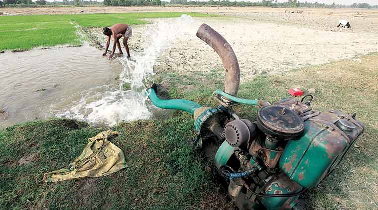 A farmer waters his crops using a pump. (Express Photo)