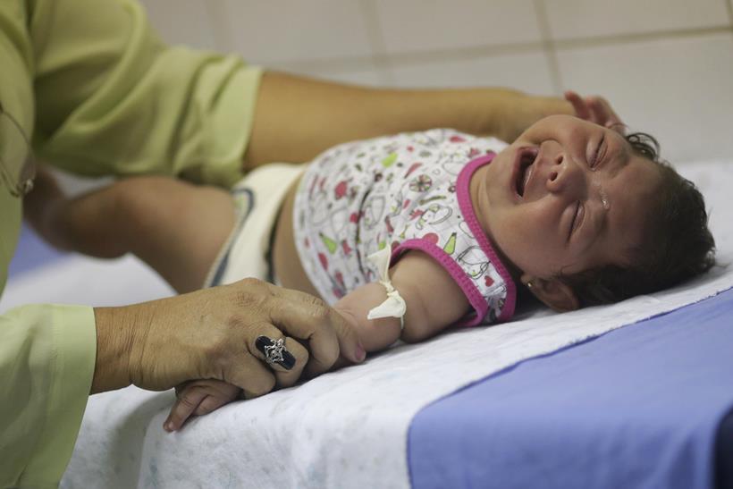 zika, zika virus, zika emergency, WHO zika meeting, WHO zika emergency, zika outbreak, Microcephaly zika, zika symptoms, zika vaccine, zika cure, zika spread, zika news, world news, health news, latest news