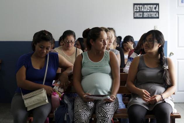 zika, zika virus, zika emergency, WHO zika meeting, WHO zika emergency, zika outbreak, Microcephaly zika, zika symptoms, zika vaccine, zika cure, zika spread, zika news, world news, health news, latest news