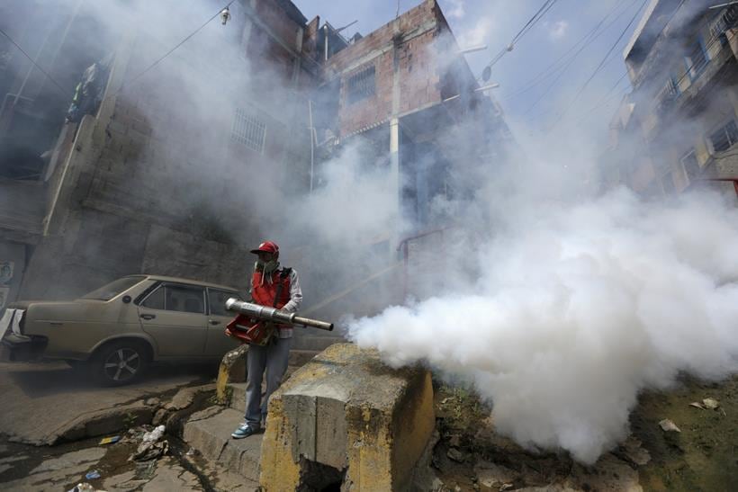 zika, zika virus, zika emergency, WHO zika meeting, WHO zika emergency, zika outbreak, Microcephaly zika, zika symptoms, zika vaccine, zika cure, zika spread, zika news, world news, health news, latest news