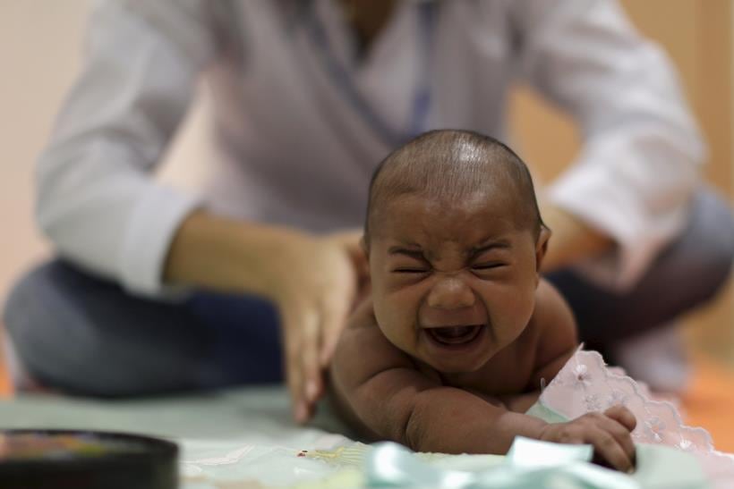 zika, zika virus, zika emergency, WHO zika meeting, WHO zika emergency, zika outbreak, Microcephaly zika, zika symptoms, zika vaccine, zika cure, zika spread, zika news, world news, health news, latest news