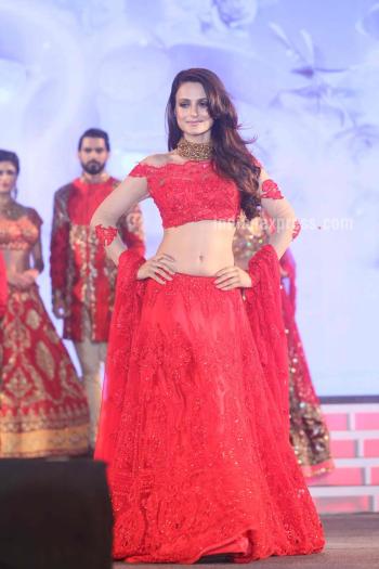 350px x 525px - Ameesha Patel, Shriya Saran, Daisy Shah on ramp | Entertainment Gallery  News,The Indian Express