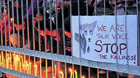 Rights activists, NGOs protest against cruelty on animals | Cities News,The  Indian Express