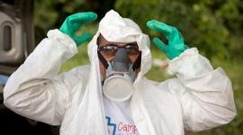 Zika outbreak, Zika, Microcephaly, Zika symptoms, Zika response, Global health problem