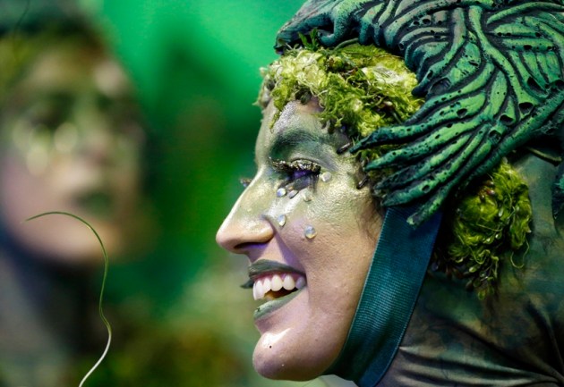 carnival, Brazil carnival, Rio de Janeiro carnival