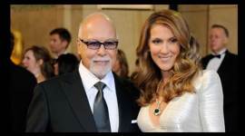 Celine Dion, Rene Angelil, My heart will go on, Celine dion administrator, Rene Angelil death, Rene angelil cancer, Celine dion news, Celine dion latest news, Rene angelil news, Entertainment news