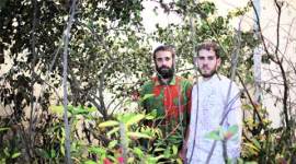 Daniel Fernandez Pascual, Alon Schwabe, cooking section, art, Spotlight series, IAF, India Art Fair, talk