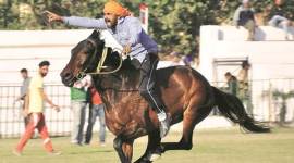 horse 480 Kila Raipur, rural sports festival, sports festival, AWBI