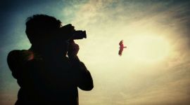 IMG-20160205-WA0005- 480 no alt set