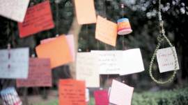 That Sinking Feeling, dissent, freedom of speech, sedition, anti-national, maoism, terrorism, intolerance, aadhaar debate, vigilates, indian express