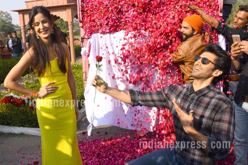Katrina Kaif, Katrina Kaif photos, Katrina Kaif Rose day, Katrina Kaif Rose day celebration, Katrina Kaif on Rose day photos, aditya roy kapoor katrina kaif, aditya roy kapoor katrina kaif photos