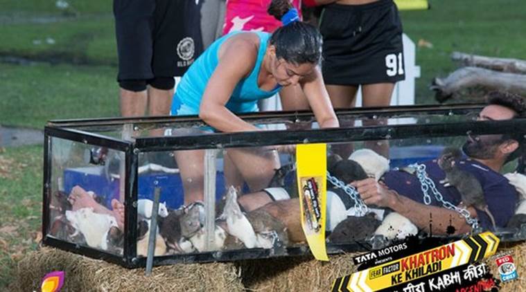 Mahhi Vij, Khatron Ke Khiladi - Kabhi Peeda Kabhi Keeda, 'Khatron Ke Khiladi' participant Mahhi Vij, Khatron Ke Khiladi - Kabhi Peeda Kabhi Keeda news, Mahhi Vij news, Mahhi Vij updates, entertainment new, tv news