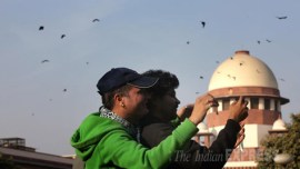 LGBT, section 377, india section 377, LGBT rights, india lgbt, india same sex marriage, gay marriage, india gay law