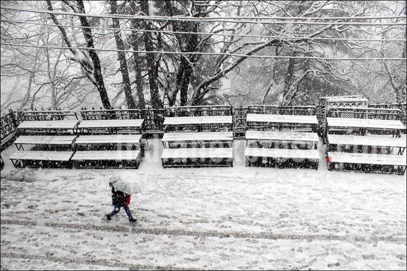 Snowfall, Snow, Heavy Snowfall, Snowfall in Shimla, Snowfall in Himachal, Heavy Snowfall in Shimla, First Snowfall of Season, Snowfall in Shimla pics