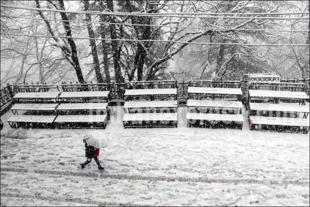 Snowfall, Snow, Heavy Snowfall, Snowfall in Shimla, Snowfall in Himachal, Heavy Snowfall in Shimla, First Snowfall of Season, Snowfall in Shimla pics