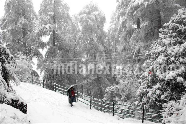 Snowfall, Snow, Heavy Snowfall, Snowfall in Shimla, Snowfall in Himachal, Heavy Snowfall in Shimla, First Snowfall of Season, Snowfall in Shimla pics