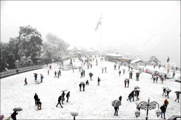 Snowfall, Snow, Heavy Snowfall, Snowfall in Shimla, Snowfall in Himachal, Heavy Snowfall in Shimla, First Snowfall of Season, Snowfall in Shimla pics