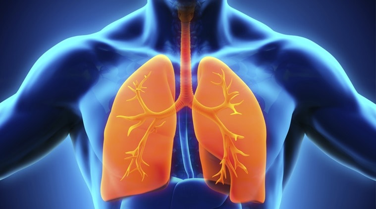 Are your lungs ageing faster than it should? | Health News - The Indian ...