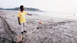 raigad, students drown, raigad students drowned, students drowned, murud beach, pune students, mumbai sea, raigad, pune news, maharashtra news, india news